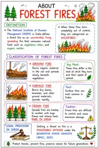 Forest Fires in India