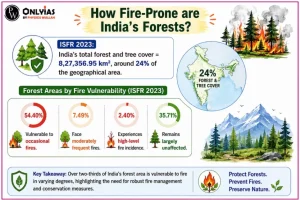 Forest Fires in India