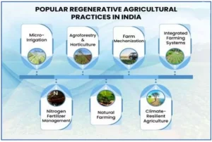 Regenerative Agriculture