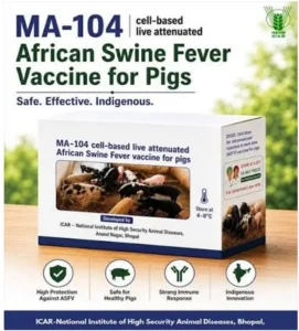 Indigenous African Swine Fever (ASF) Vaccine