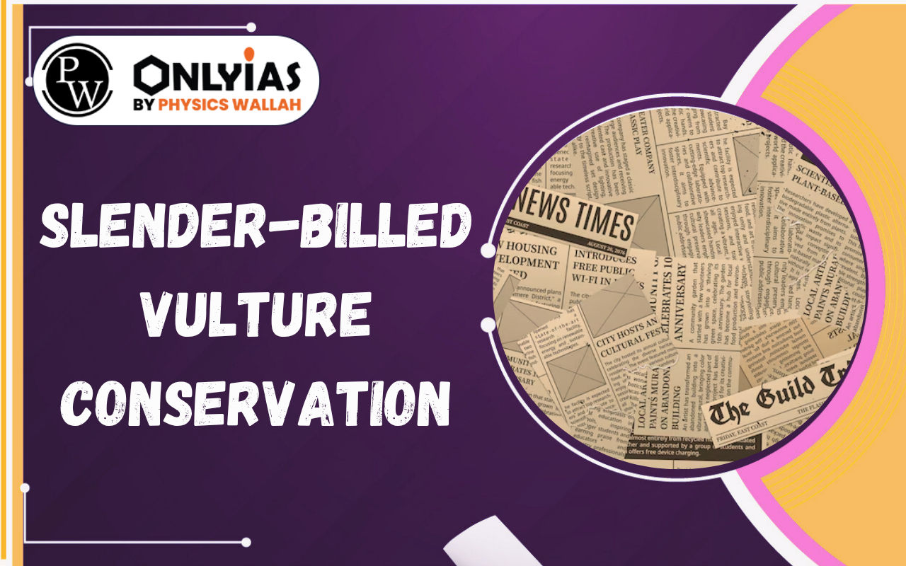 Slender-Billed Vulture Conservation: World’s First Captive Release in India