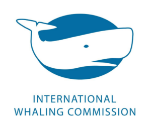 International Whaling Commission