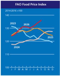 Edible Oils And Food Inflation